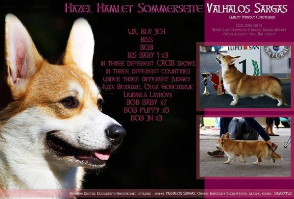 Hazel Hamlet Sommerseite Valhalos Sargas