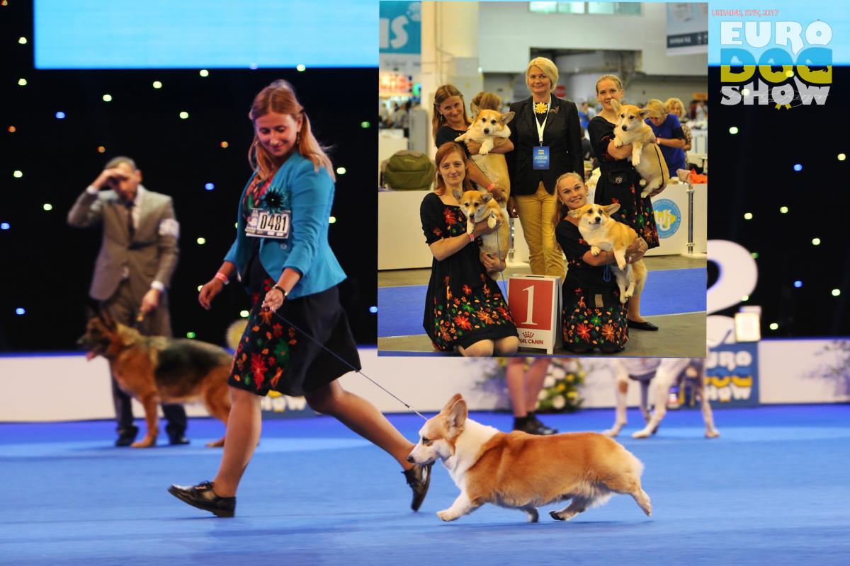 EURO DOG SHOW results