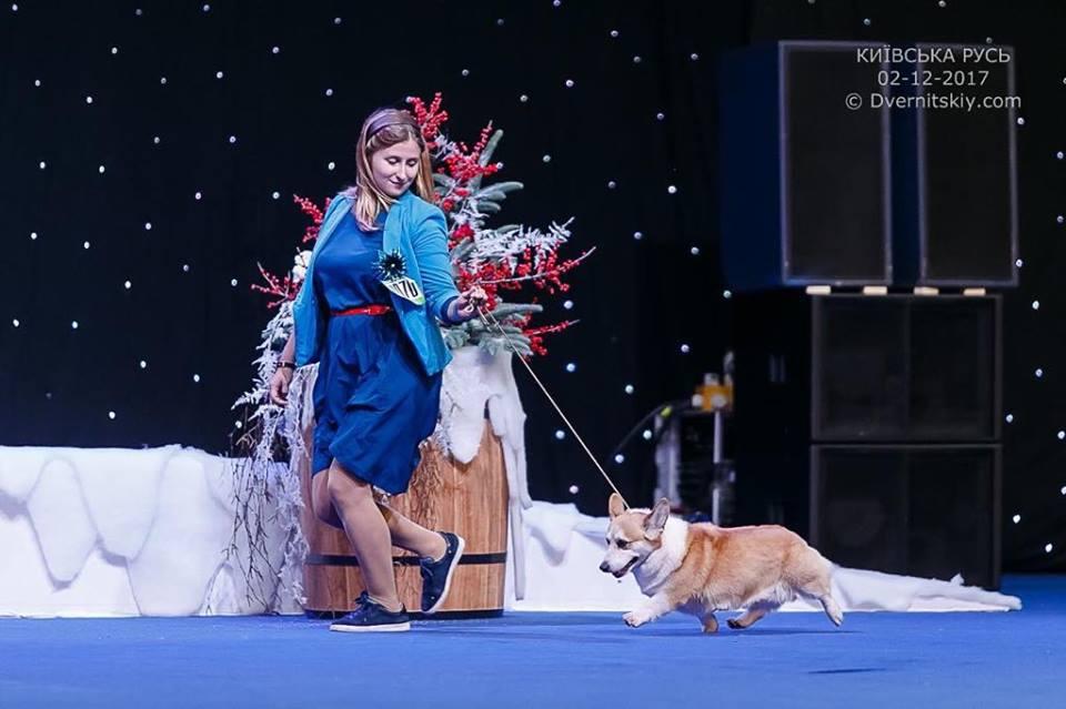 Kyivska Rus Dog show results 
